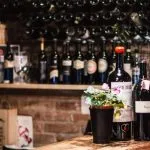 Discover croatian wines