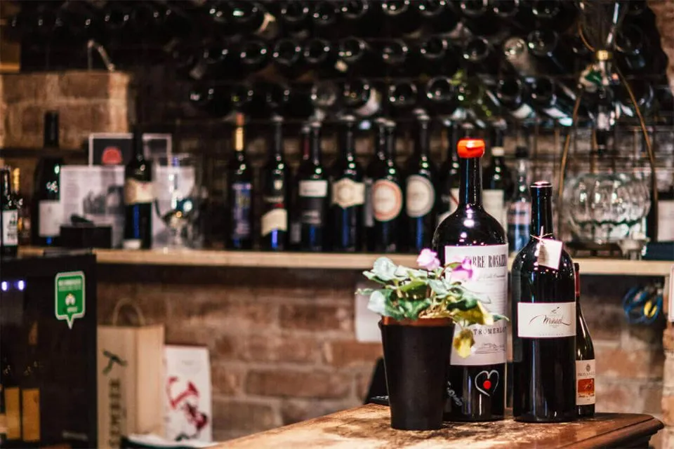Discover croatian wines