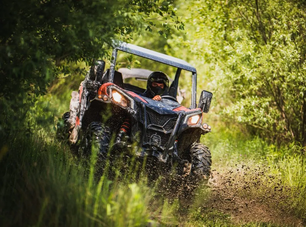 Scoprite i luoghi nascosti del bosco