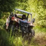 Scoprite i luoghi nascosti del bosco