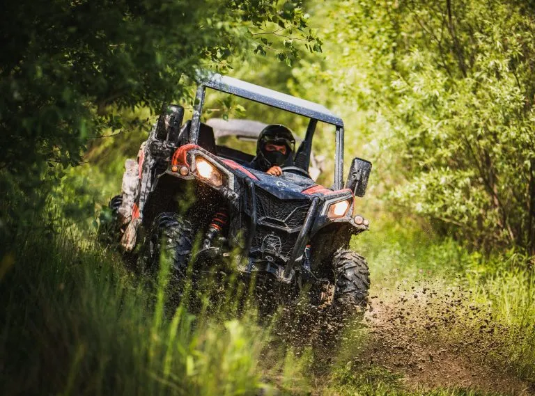 Scoprite i luoghi nascosti del bosco