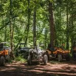 Esplorare i boschi in quad