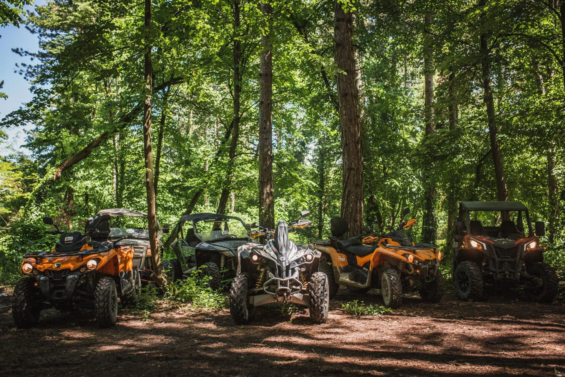 Exploring the woods on quads