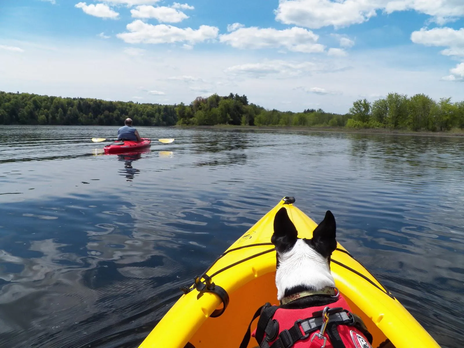 Kayaking on zagreb lake