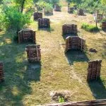 Spacious paintball course