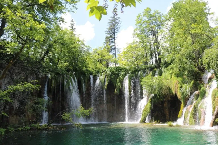 Waterfall surrounded by lush greenery